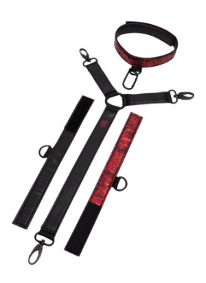 Sweet Anticipation Collar and Wrist Cuffs